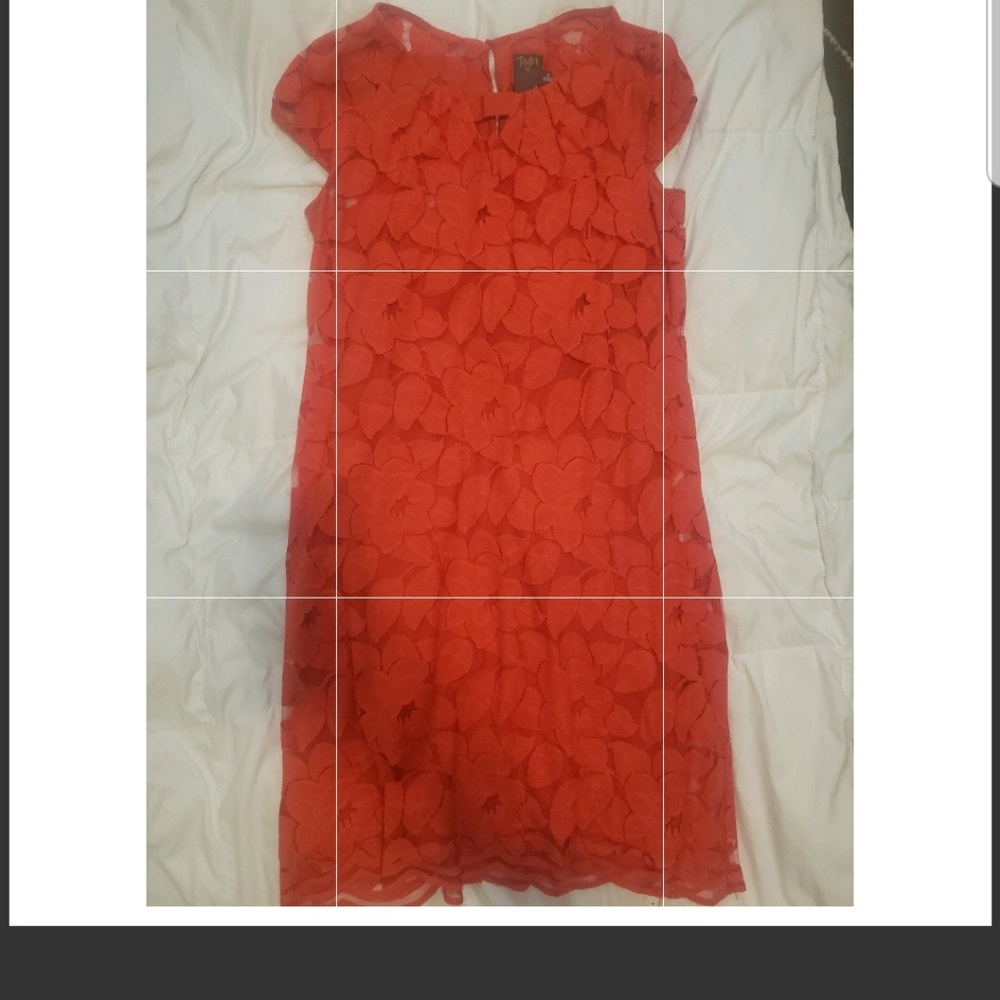 Coral dress